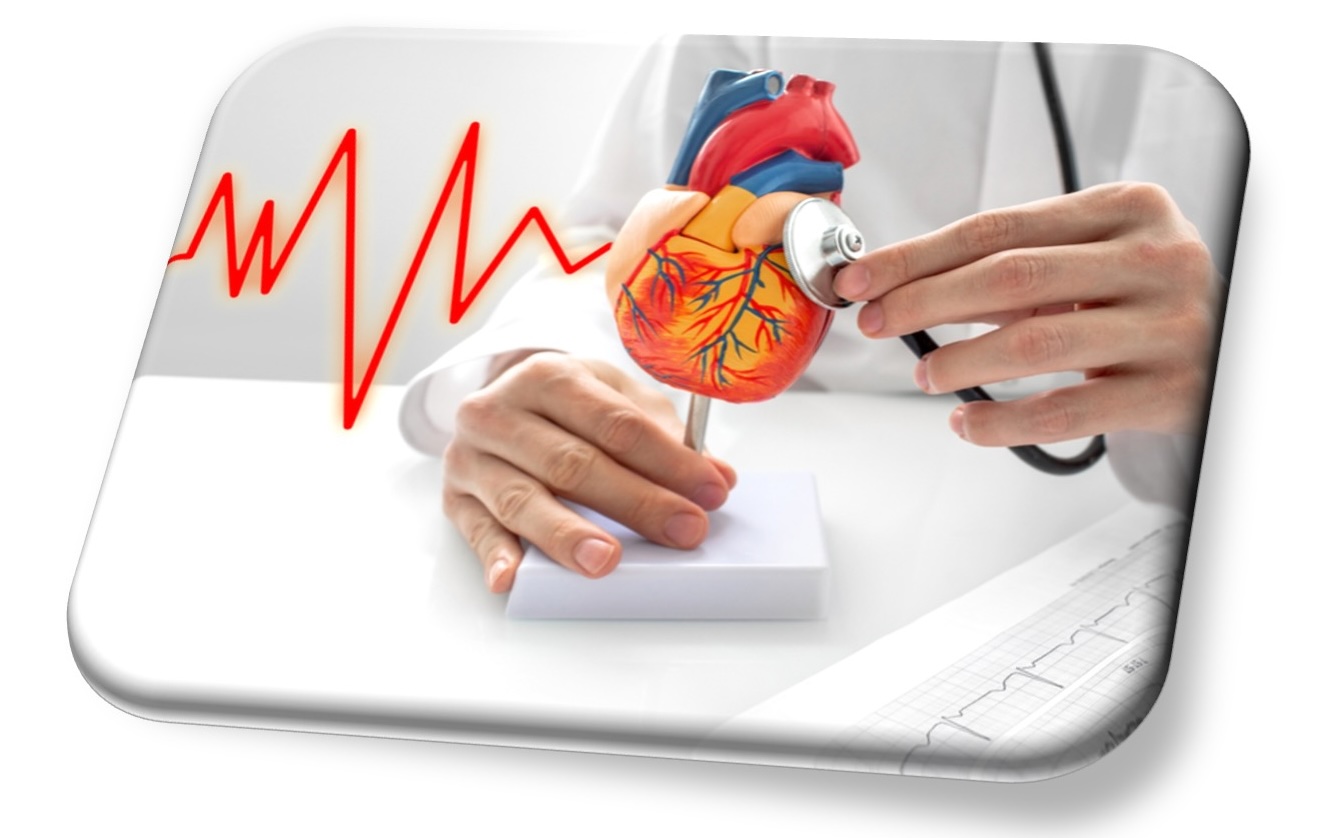 Sinnbild - Fortbildung